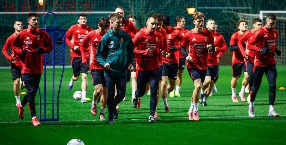 帕洛特2场5球＋对阵葡萄牙双响＋对阵匈牙利戴帽＋带队挺进附加赛！