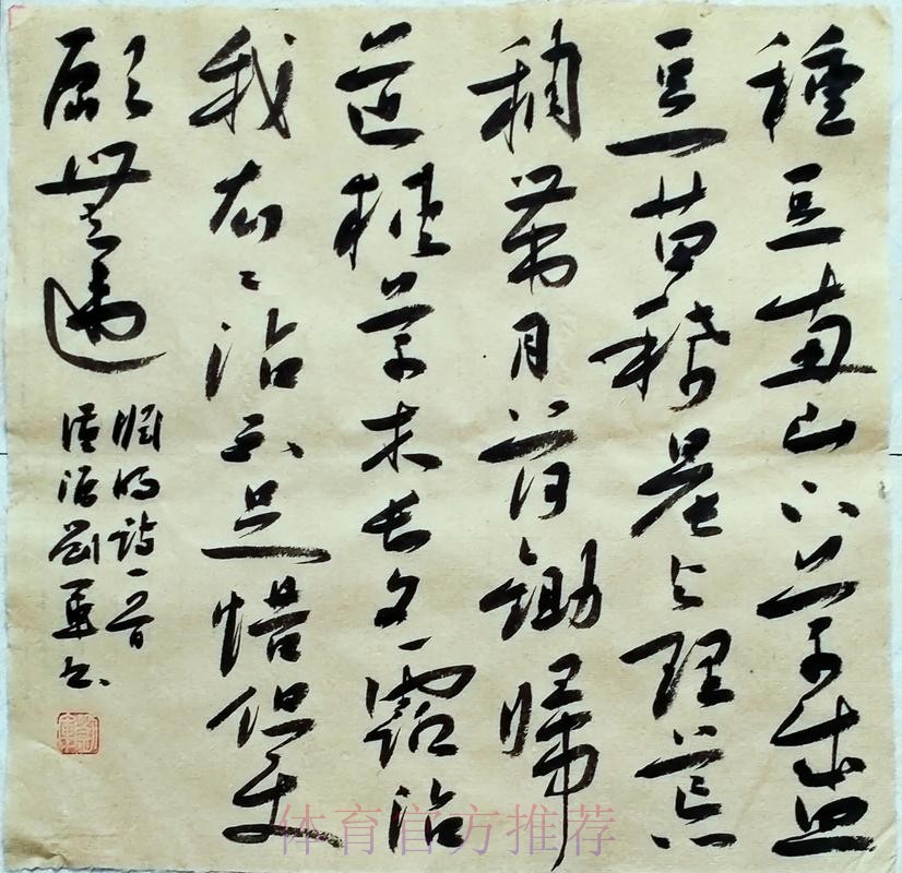 宾施马复出「萨」无赦